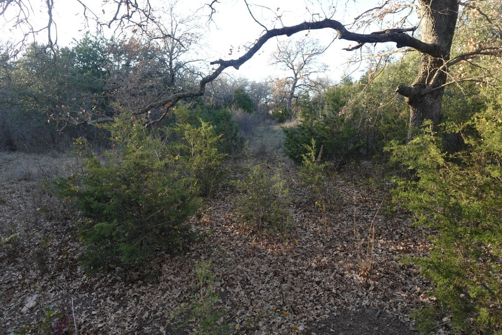 Picture 13