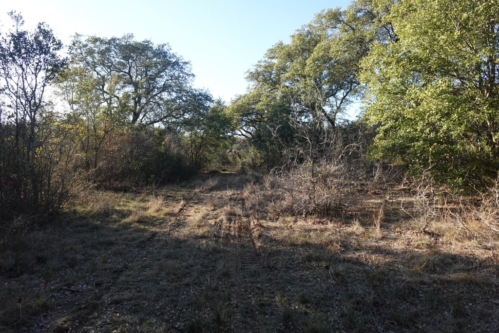 Picture 12