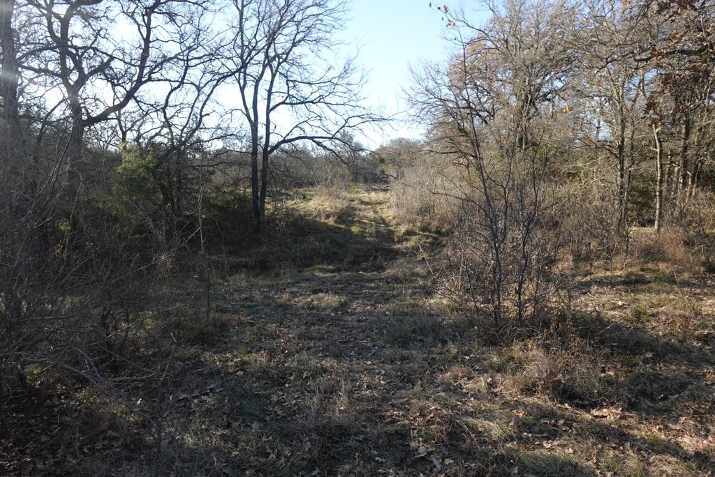 Picture 9