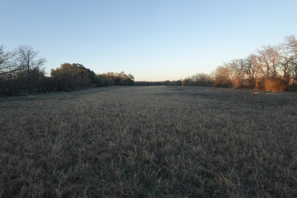 Picture 25