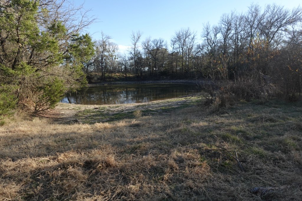 Picture 8