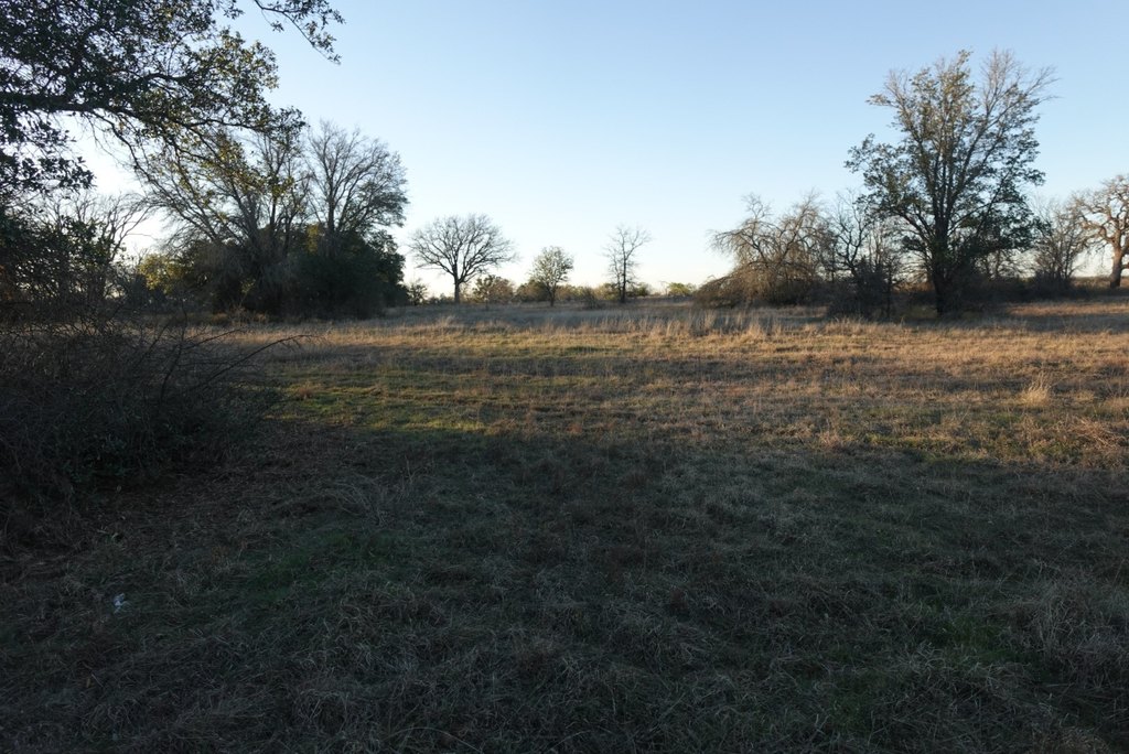 Picture 23