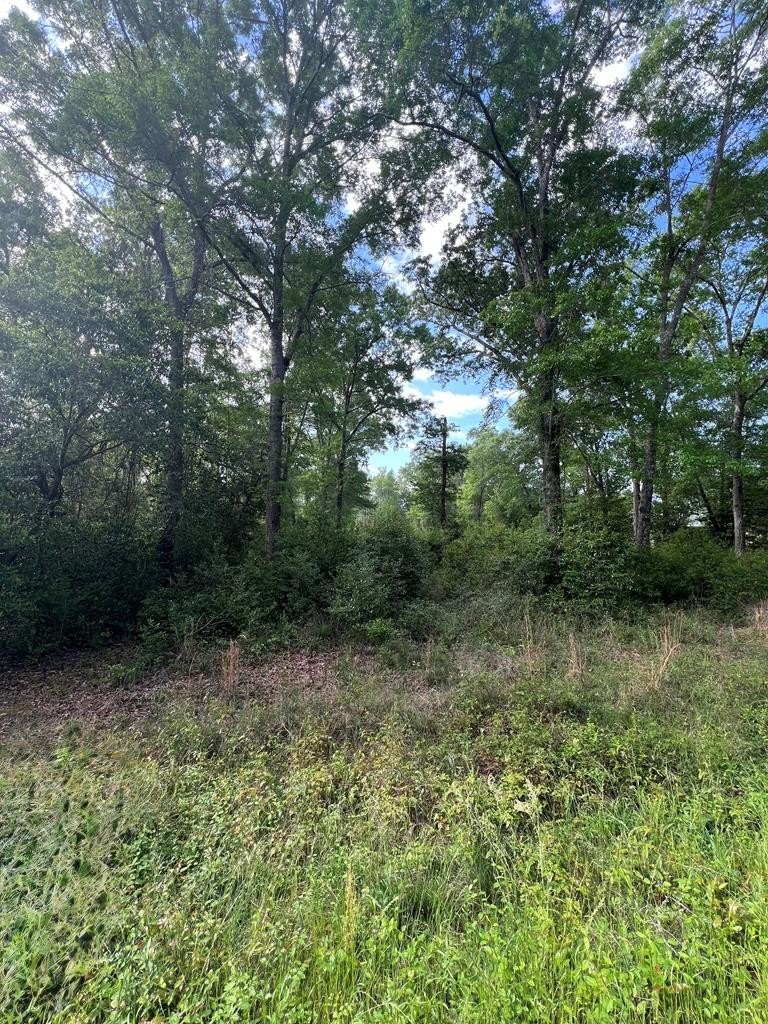 Cordele Buildable Lot Near Lake