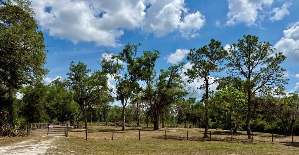 Cross City Land Near Suwannee