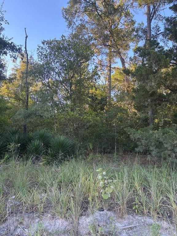Picture 6