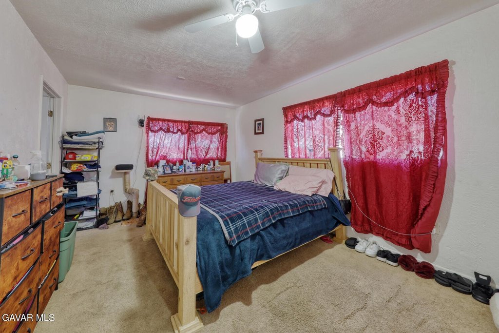 Picture 21