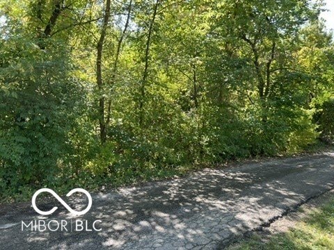 Picture 6