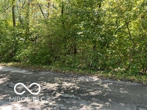 Picture 3