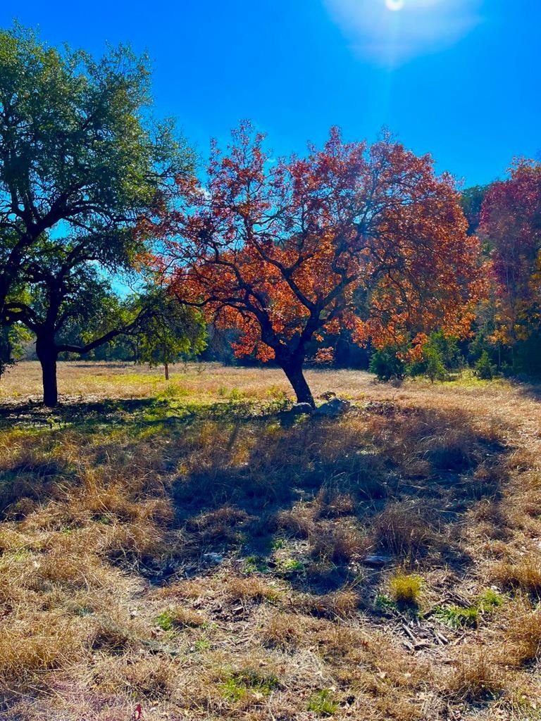Residential Land in Harper, TX