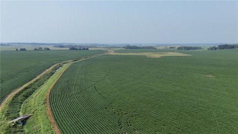 Browerville Agricultural Land with Irrigation