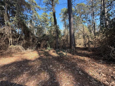 Heavily Wooded Land in Winnsboro