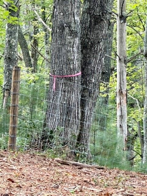Picture 14