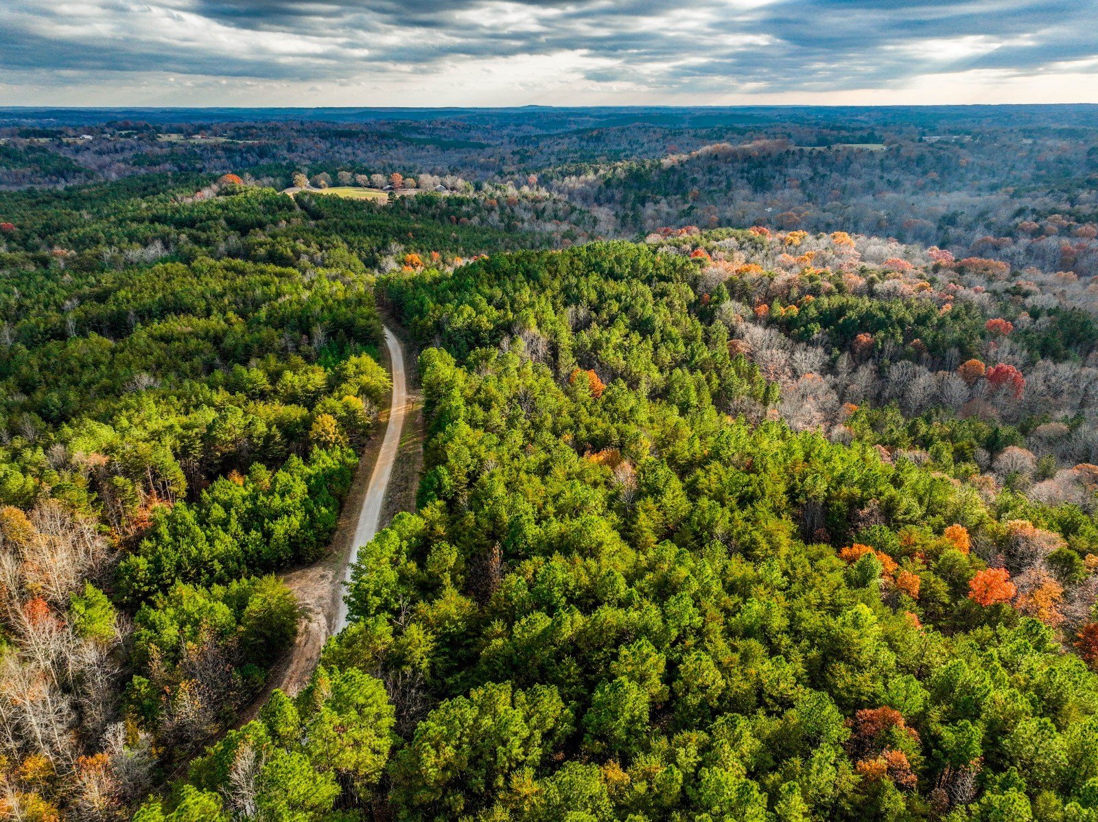 Haleyville Land Near National Forest