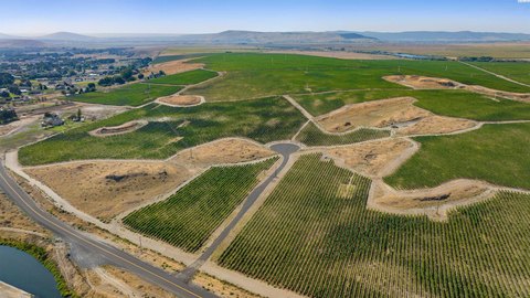 Vineyard View Property in Richland