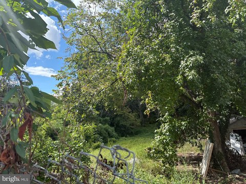 Large Lot in Capitol Heights