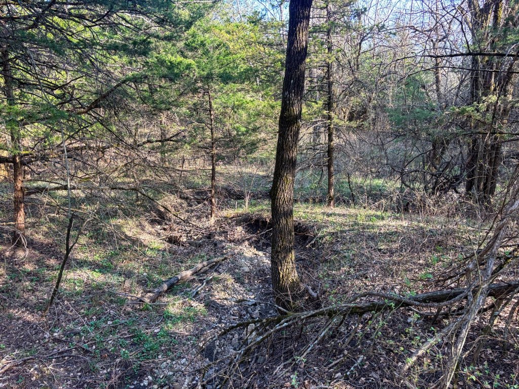 Picture 25