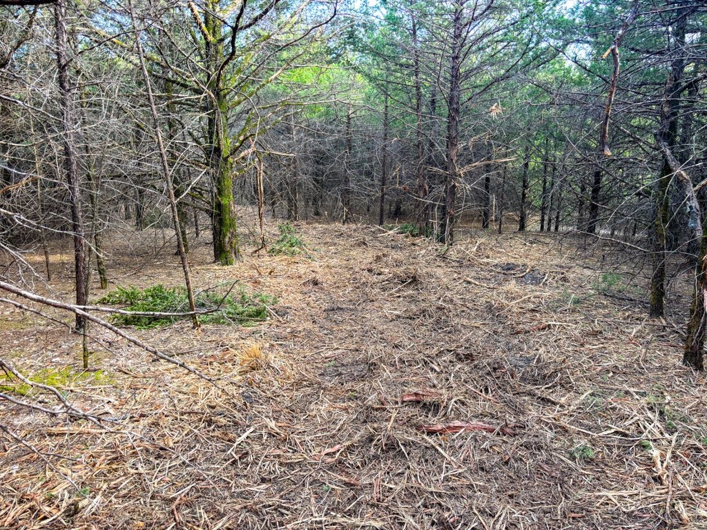 Picture 30
