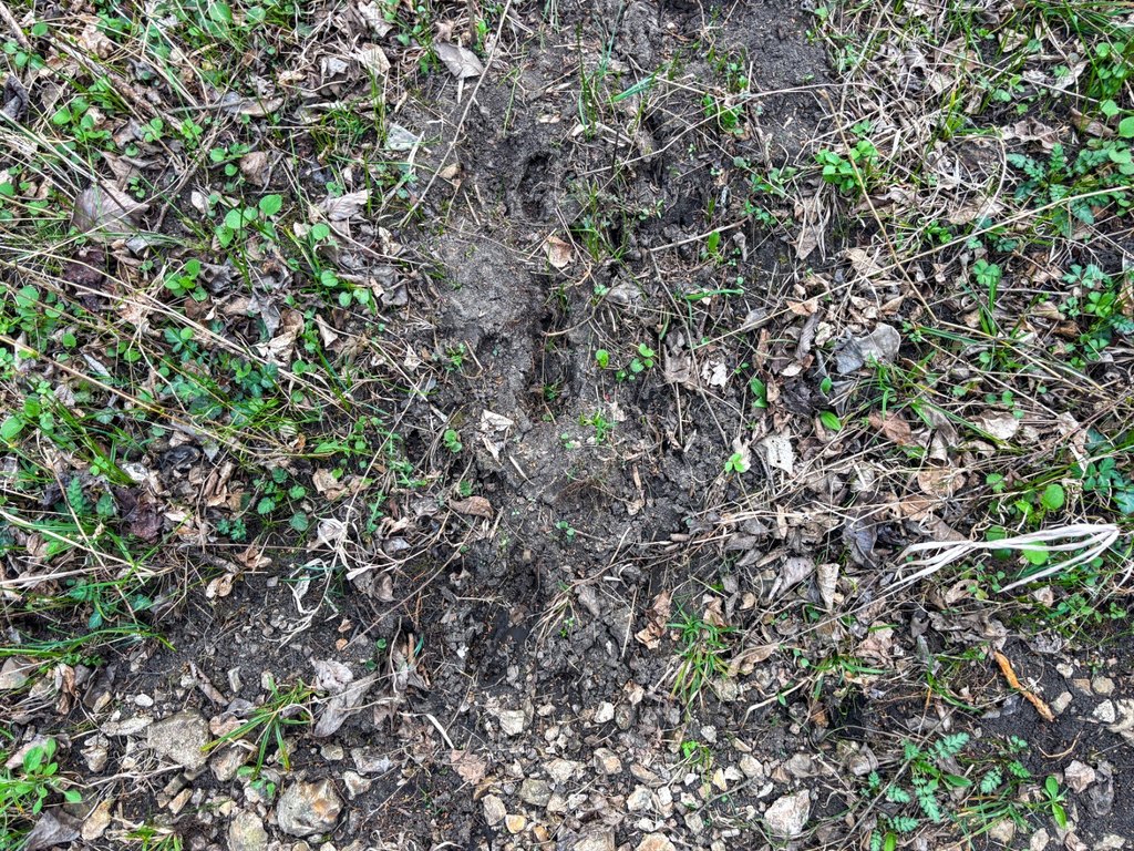 Picture 33