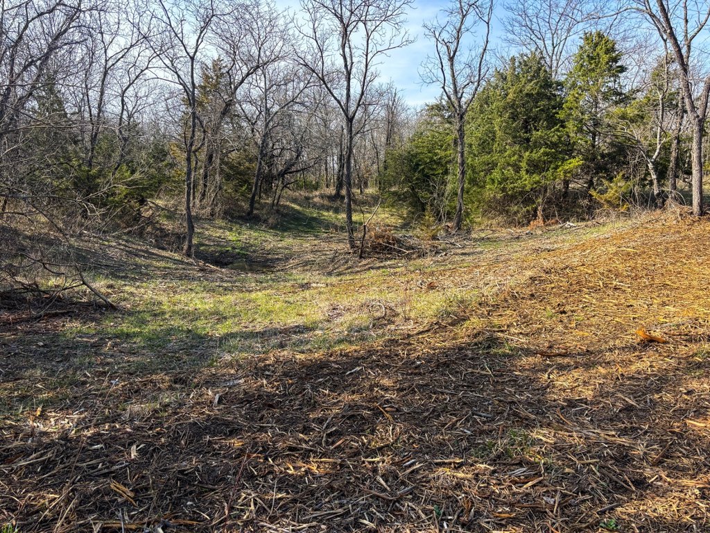 Picture 17