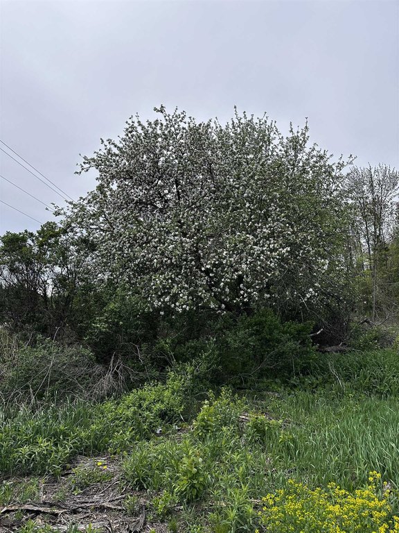 Picture 4