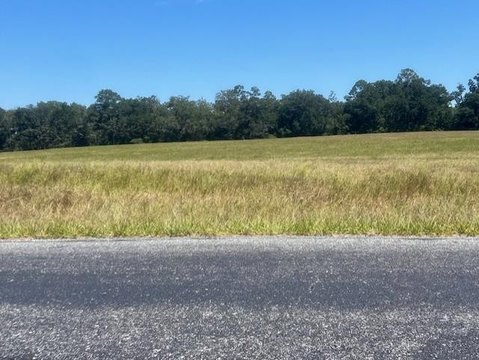 Cleared Land in Magnolia Meadows