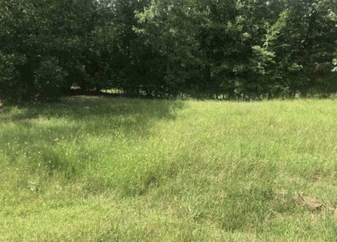 LAND, Greenwood, SC