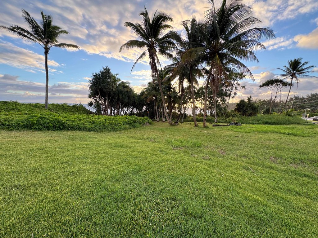 Picture 29
