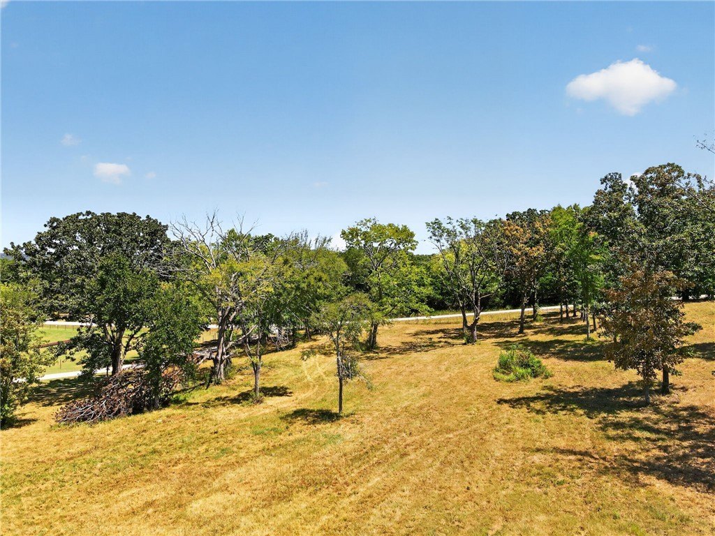 Picture 8