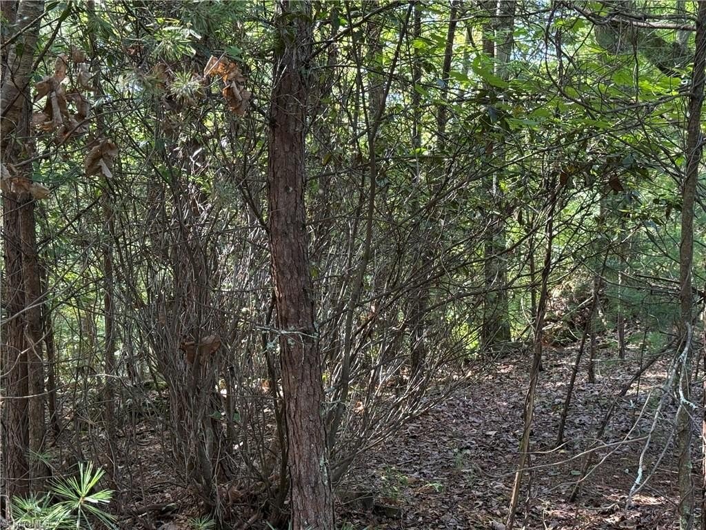 Picture 13