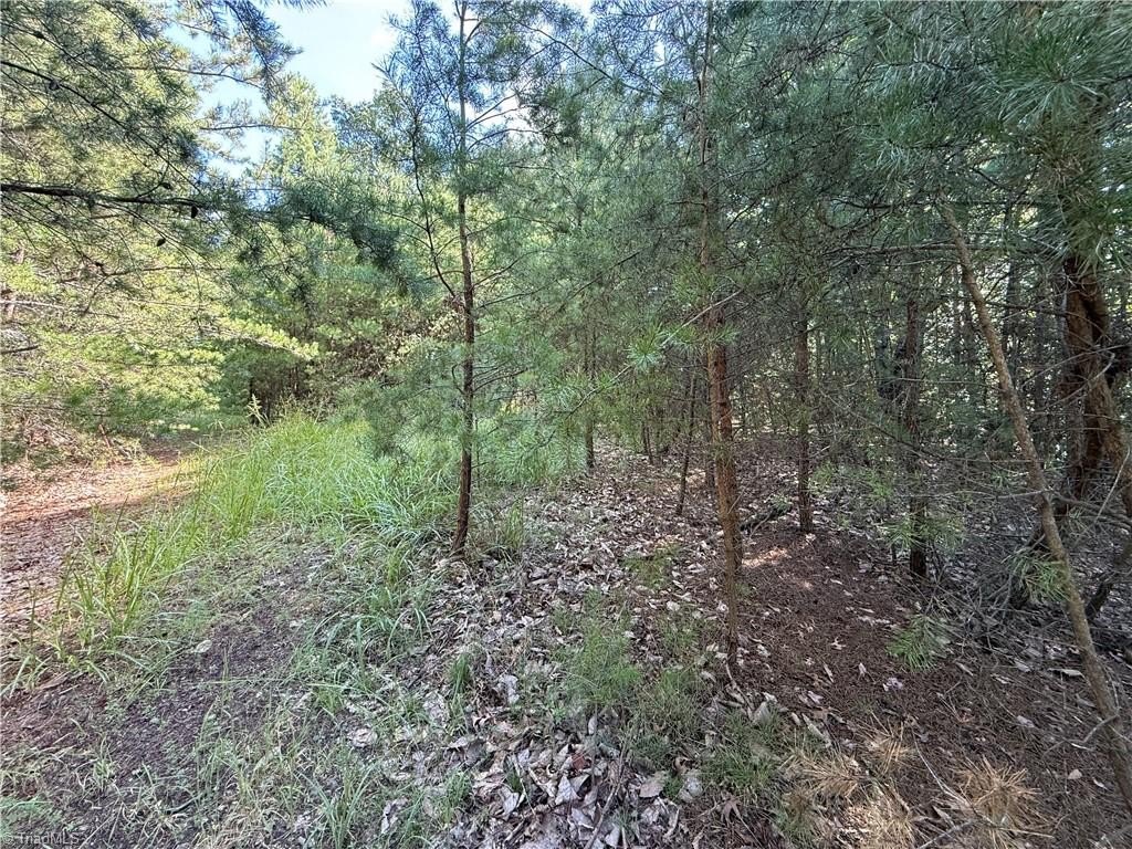 Picture 17