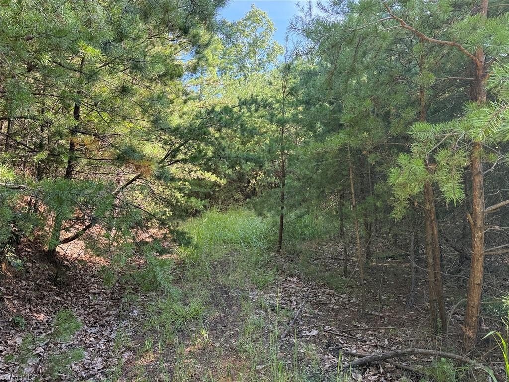 Picture 4