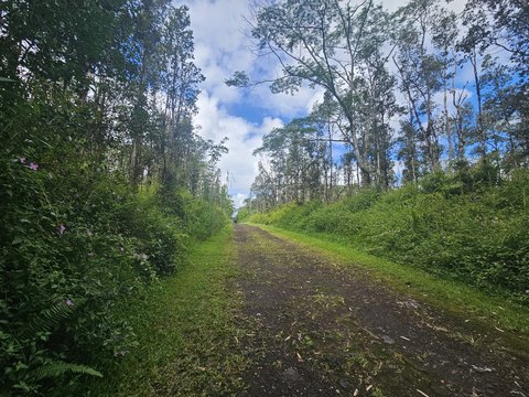 Land, Pahoa, HI