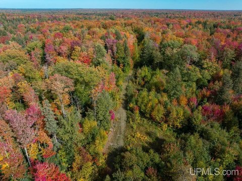 Wooded Recreational Land