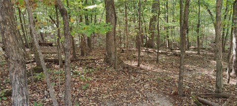 Land, Bella Vista, AR