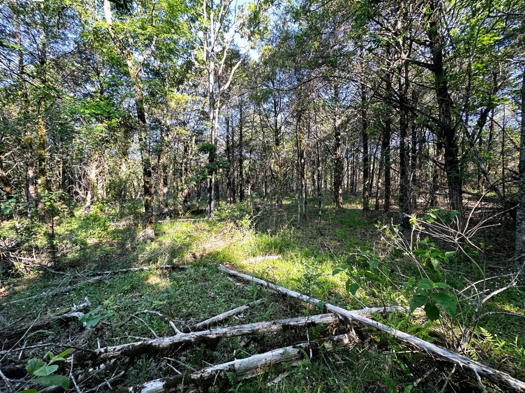 Picture 35