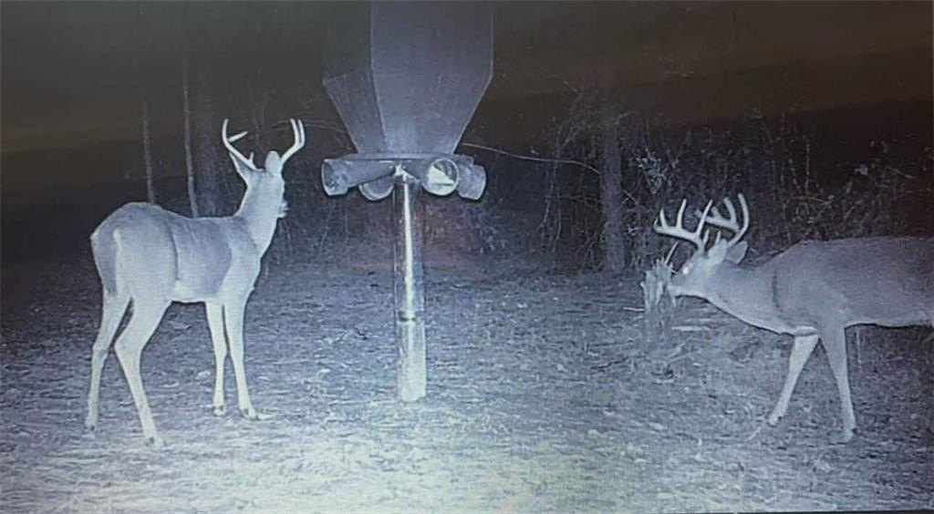 Picture 19