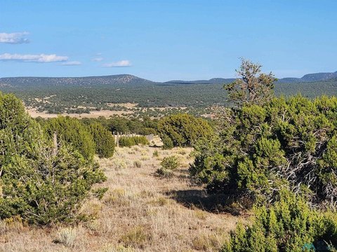 Land, Datil, NM