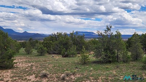 Land, Datil, NM