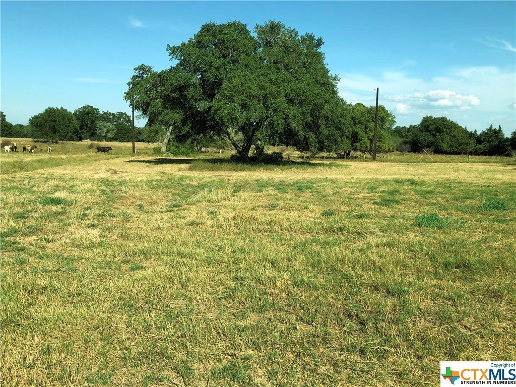 Hallettsville, TX Land Opportunity