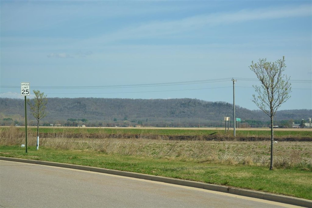 Picture 19