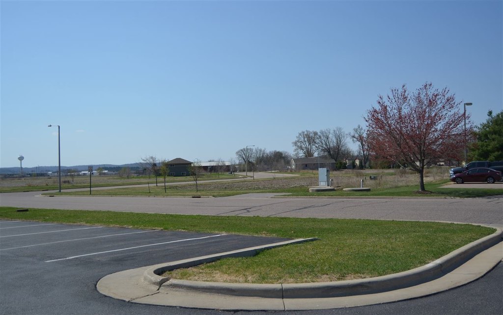 Picture 8