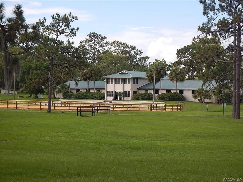 Picture 18
