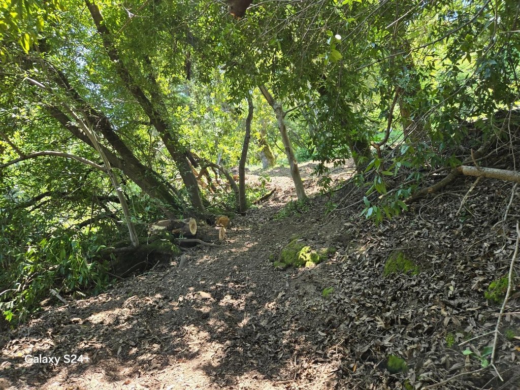 Picture 9