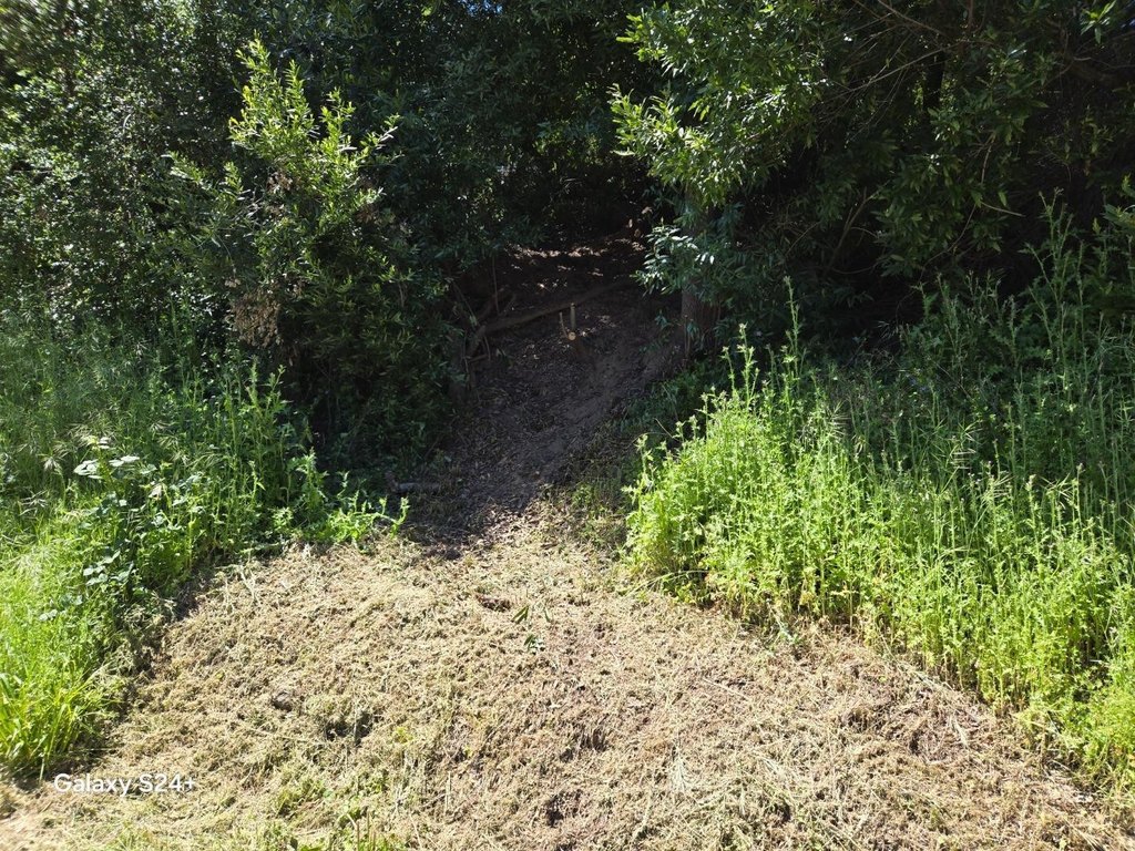 Picture 11