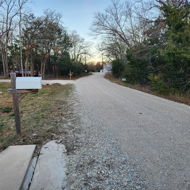 Picture 4