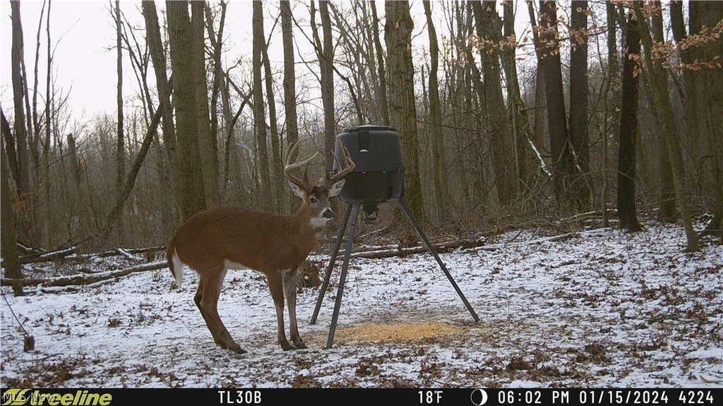 Picture 2