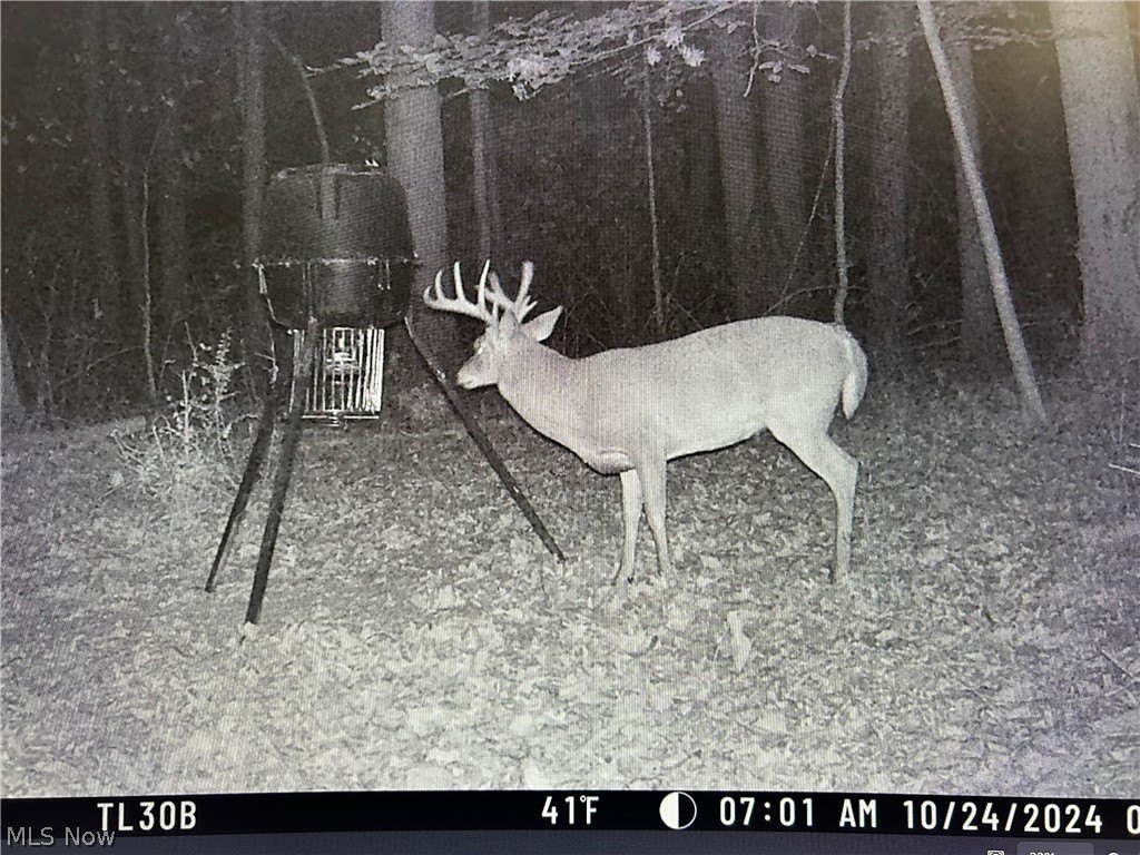 Picture 3