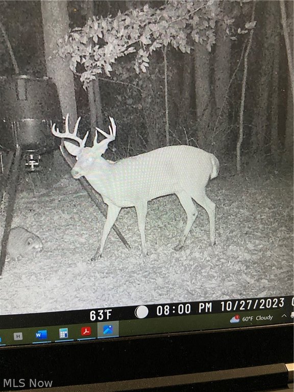 Picture 4