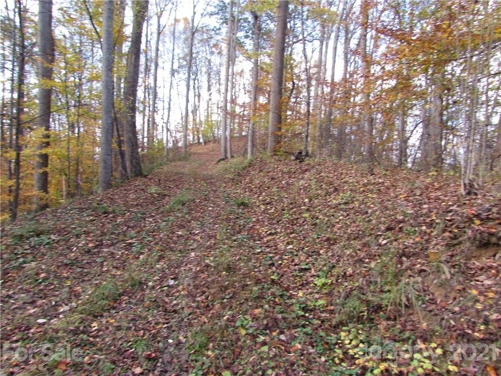 Mars Hill Land with Views