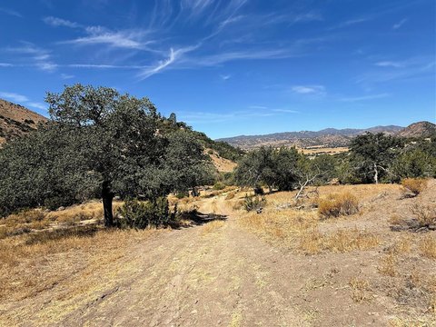 20 Acres of Mountain Land